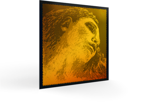 Pirastro Evah Pirazzi Gold Violin D String (Silver)